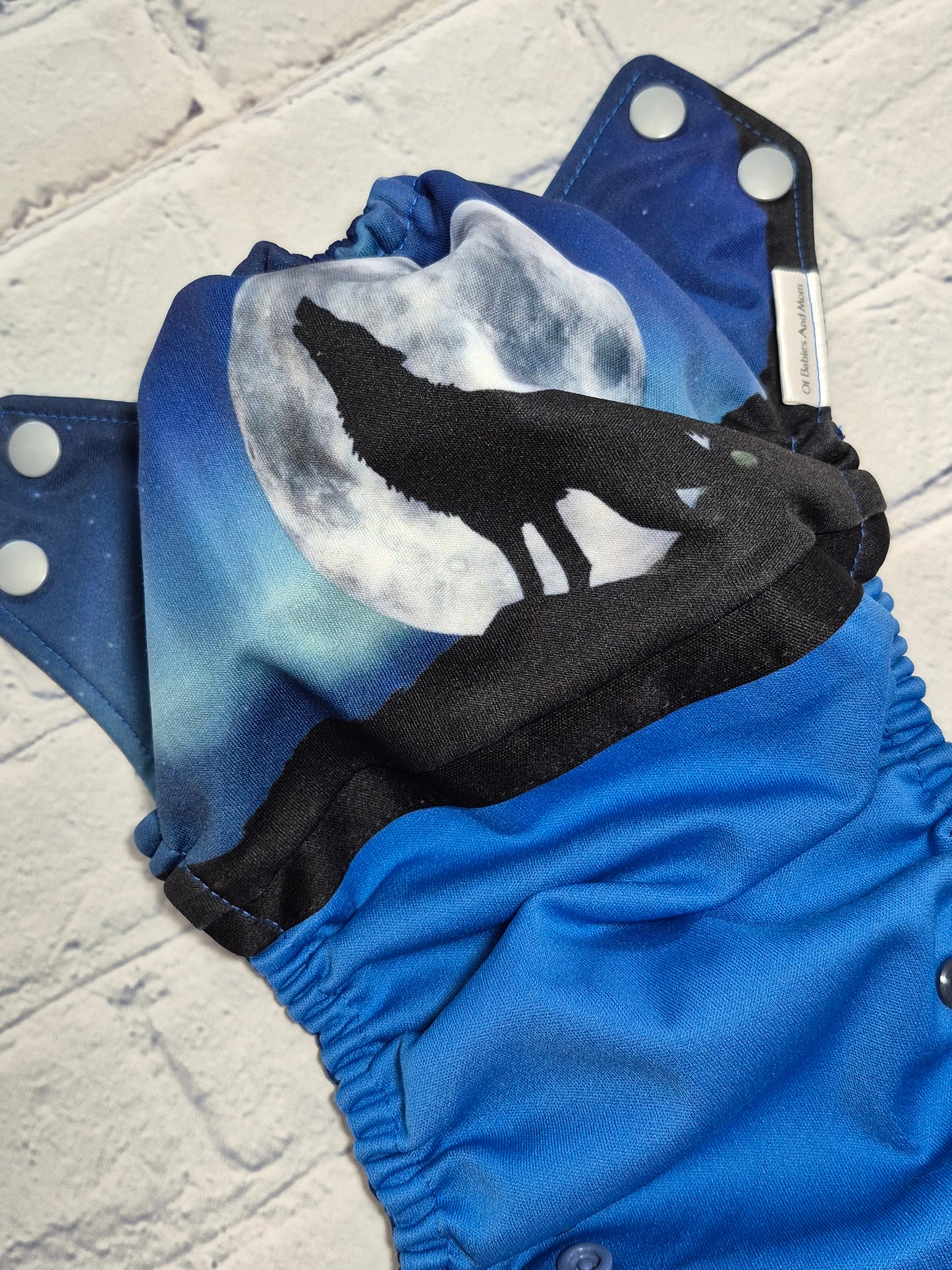 Couche - Obam - Loup