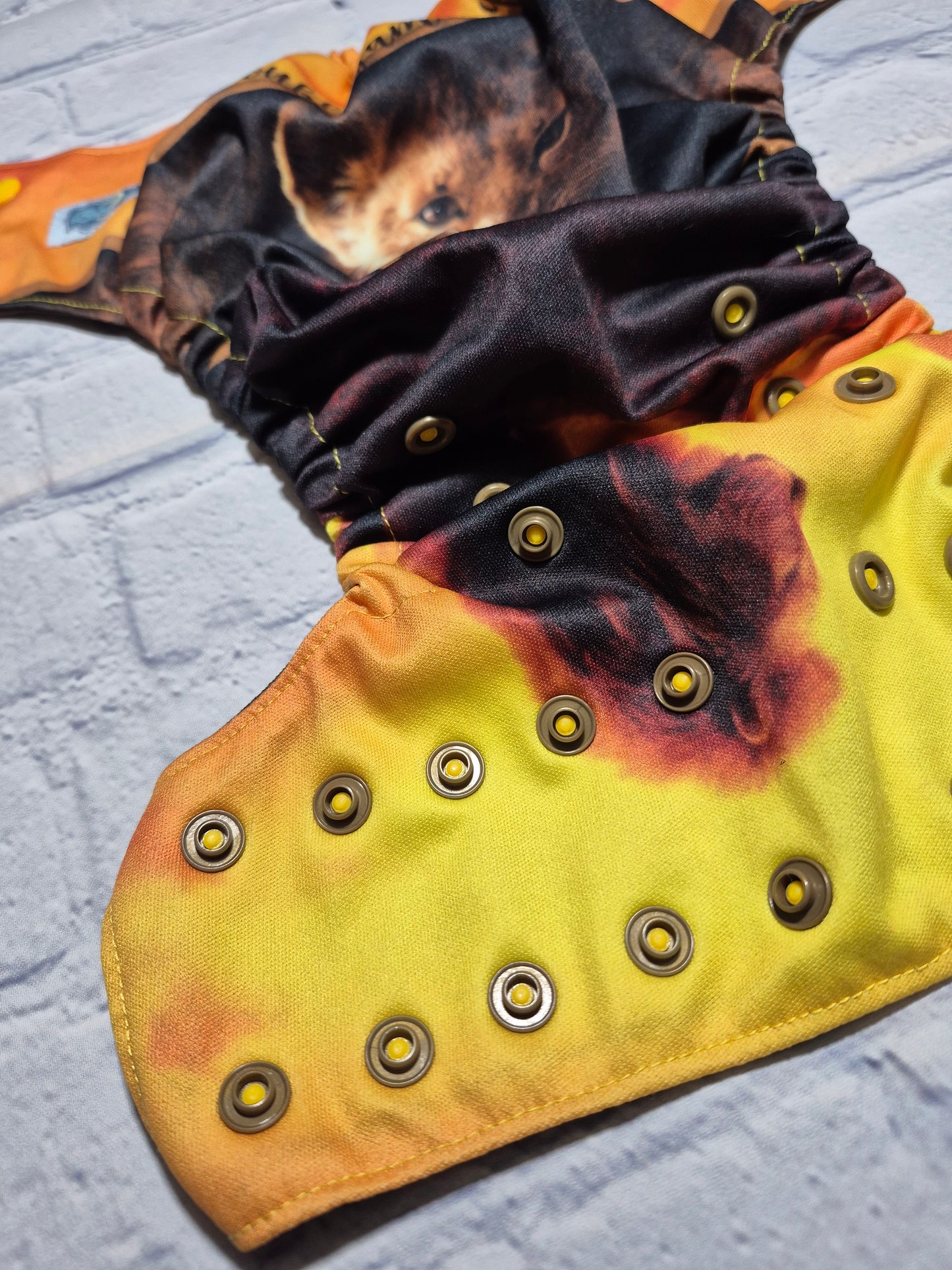 Couche - Bella Luna - Petit Roi Félin