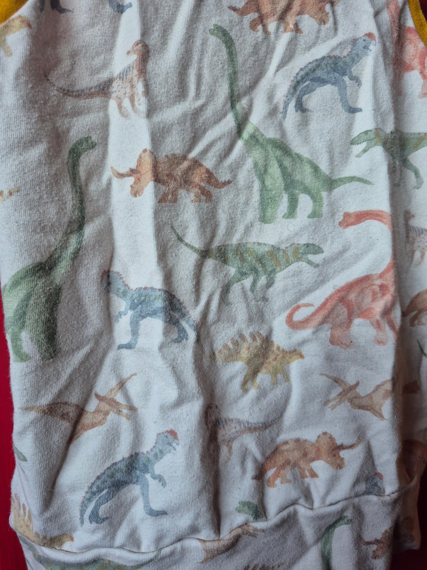 Ensemble évolutif short - Dinosaures - Kaly