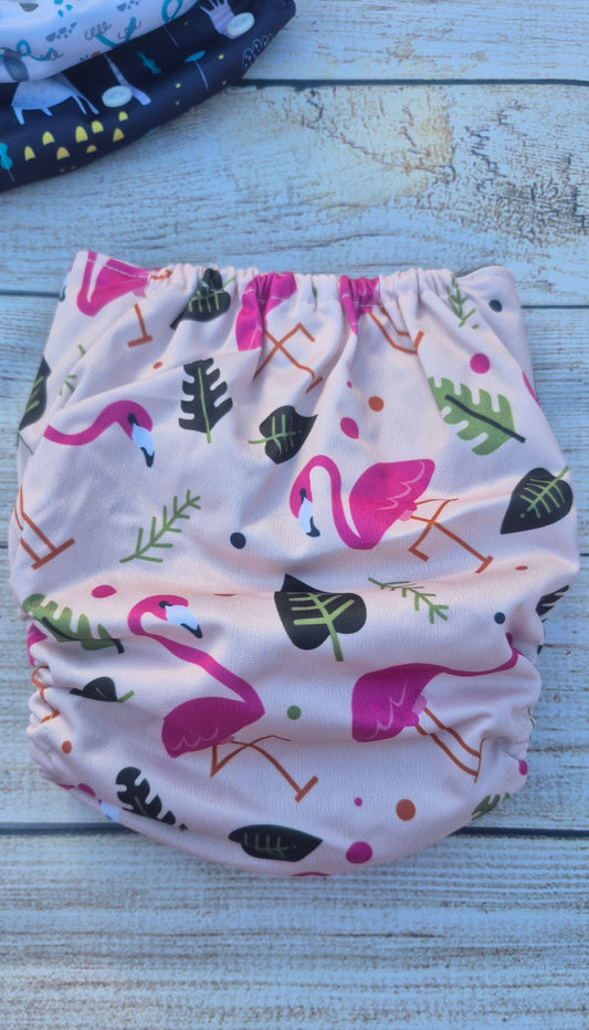 Flamants Roses